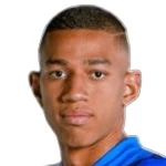Andres Aedo