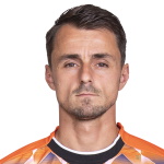 Daryl van Mieghem