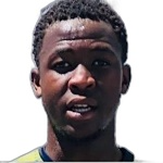 Seluleko Mahlambi