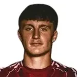 Lan Drevenšek