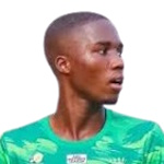 Mehluleli Ndelu