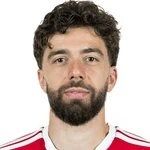 Dominik Pelivan