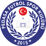 Pedasa Futbol SK