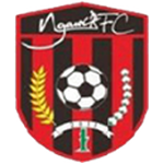 Ngawi FC