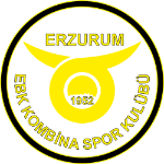 Kombinaspor