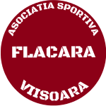 AS Flacăra Viișoara