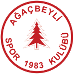 Ağaçbeylispor