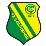 12 Çolikspor