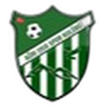 Ağrı 1918 Spor