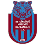 Beylikdüzü Kuzeyin Kaplanları SK