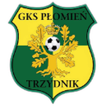 Płomień Trzydnik Duży