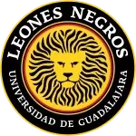 Leones Negros III