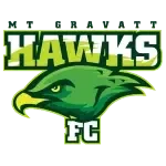 MT Gravatt Hawks