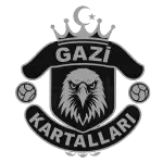 Gazi Kartallari