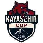 Kayaşehir CUP