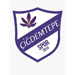 Çiğdemtepespor