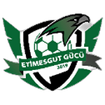 Etimesgutgücü