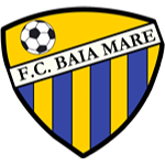 FC Baia Mare