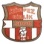 Körfez İlçesi Birlikspor