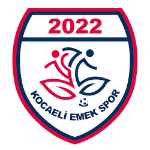 Kocaeli Emekspor