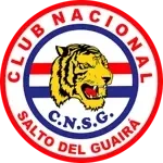 Nacional FC de Salto del Guairá