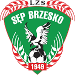 LZS Sęp Brzesko