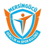 Mersingücü GSK