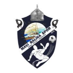 Mavi Balinaspor