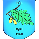 LZS Bór Dąbie