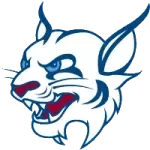 Saint Thomas Bobcats