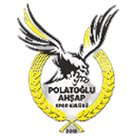 Polatoğlu Ahşapspor
