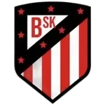 Bahçelievler Sk