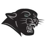 Plymouth State Panthers