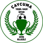Çaycuma Yeşil Vadispor