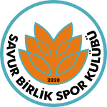 Savur Birlikspor