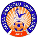 Fatsa Anadoluspor