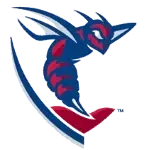 Shenandoah Hornets