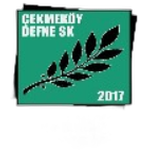 İstanbul Defnespor