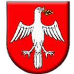 TJ Družstevník Čičarovce