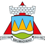 Seleção de Brumadinho U13