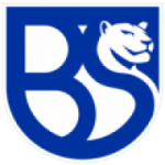 Union Brescia U17