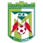 Chapulineros de Oaxaca II
