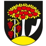 1. FC Černík