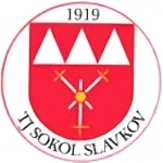 TJ Sokol Slavkov