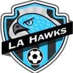 UFA Hawks L.A.