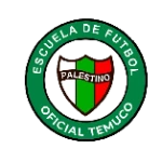 Palestino Temuco B U9