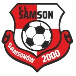 Samson Samsonów