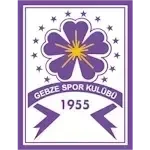 Guzide Gebzespor U19
