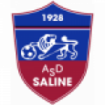 Saline