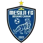Mesuji FC
